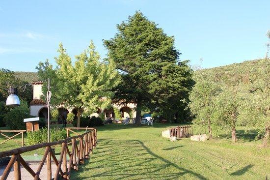 Agriturismo San Valentino Amelia Eksteriør billede